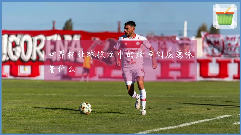 世界杯让球投注中的赔率到底意味着什么