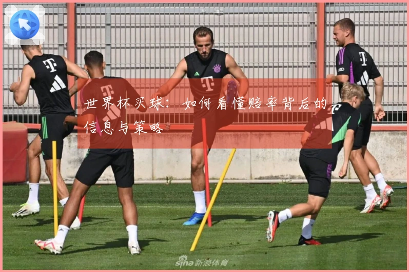 世界杯买球：如何看懂赔率背后的信息与策略