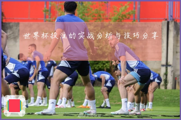 世界杯投注的实战分析与技巧分享