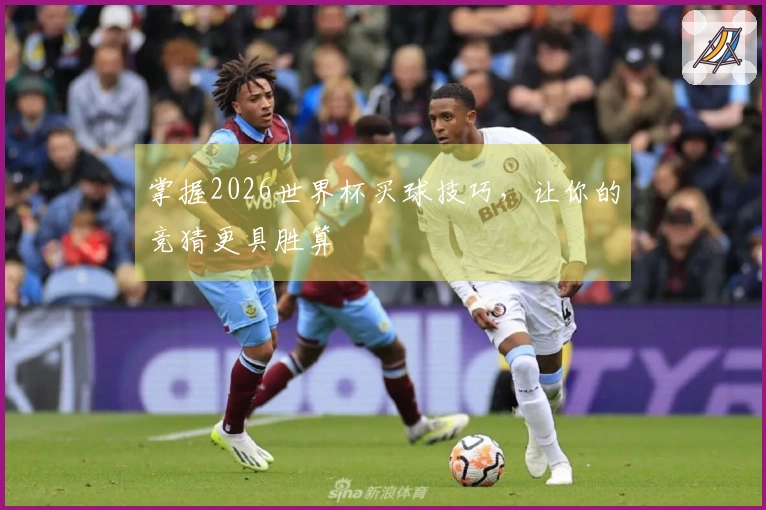 掌握2026世界杯买球技巧，让你的竞猜更具胜算