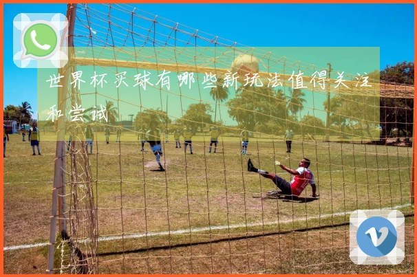 世界杯买球有哪些新玩法值得关注和尝试