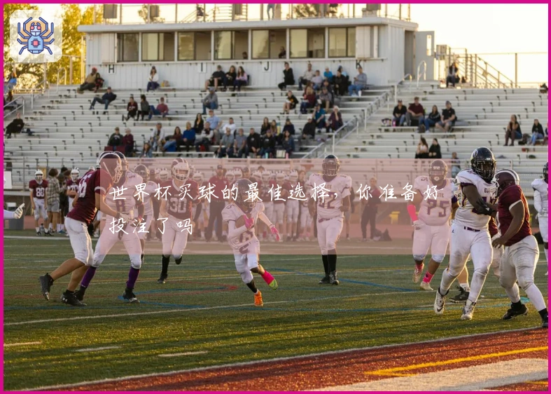 世界杯买球的最佳选择，你准备好投注了吗