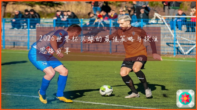 2026世界杯买球的最佳策略与投注思路分享