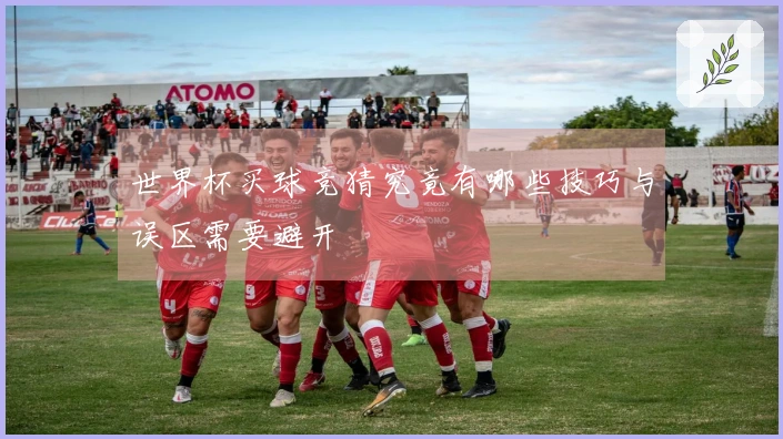 世界杯买球竞猜究竟有哪些技巧与误区需要避开