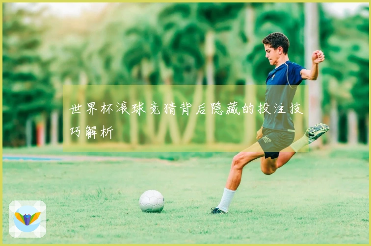 世界杯滚球竞猜背后隐藏的投注技巧解析