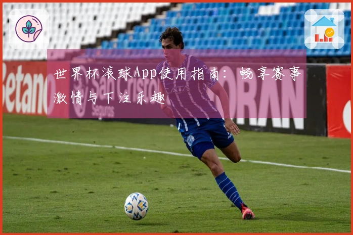 世界杯滚球App使用指南：畅享赛事激情与下注乐趣