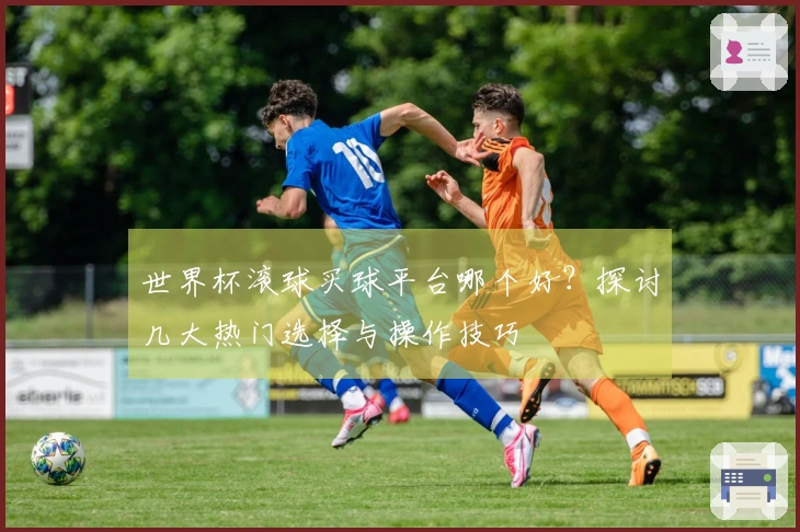 世界杯滚球买球平台哪个好？探讨几大热门选择与操作技巧