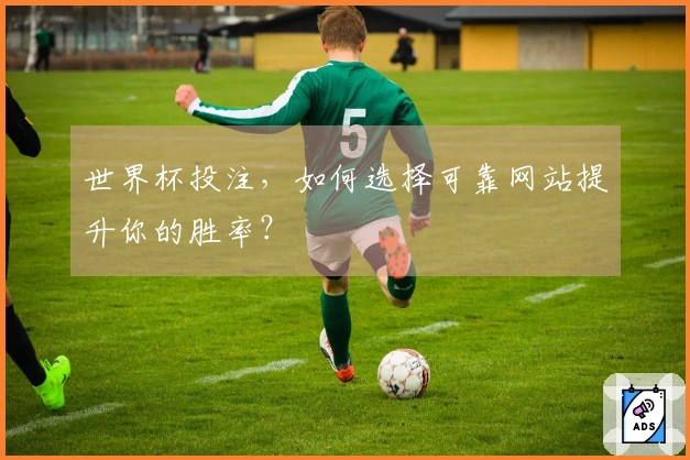世界杯投注，如何选择可靠网站提升你的胜率？