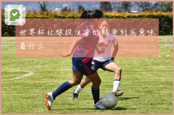 世界杯让球投注中的赔率到底意味着什么