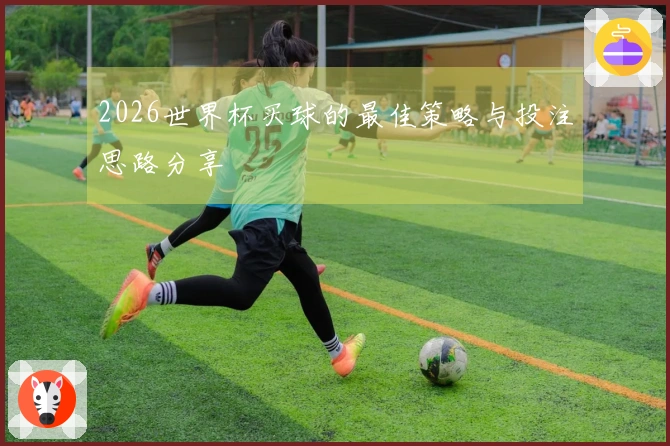 2026世界杯买球的最佳策略与投注思路分享